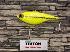 TRI100GRGEE PROMO Fishmagnet Triton 100gr geel (Jaune)