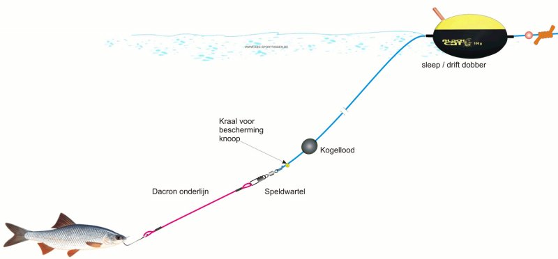 حاج رقيق vissen met een schuifdobber mediayarn.net