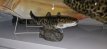 CAT30 Trophy Catfish 30cm